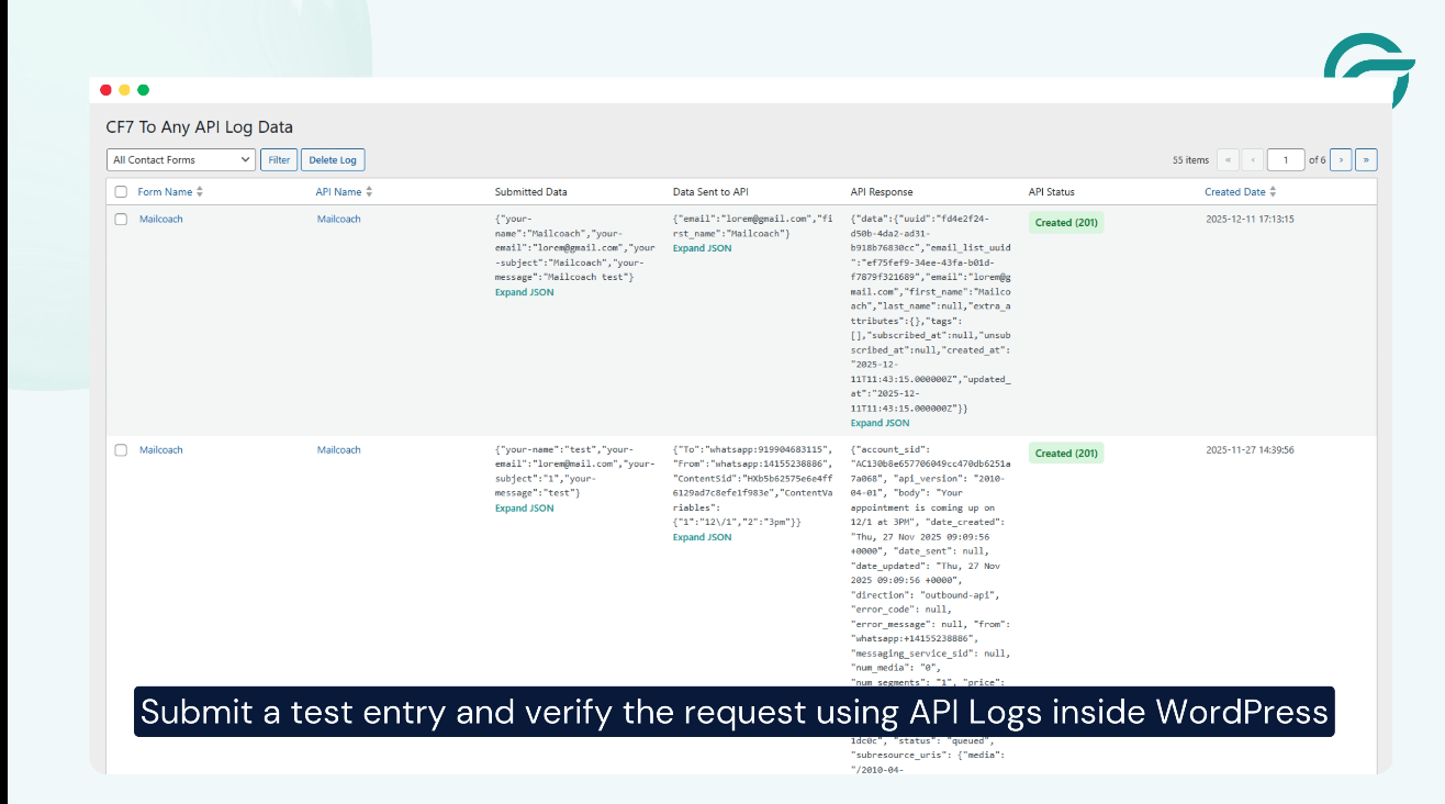 Submit Test Entry and Verify the Request Using API Logs Inside WordPress