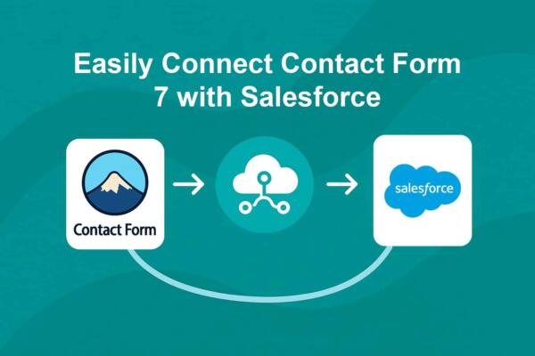 How to Send Contact Form 7 Leads to Salesforce Using Contact Form to Any API PRO