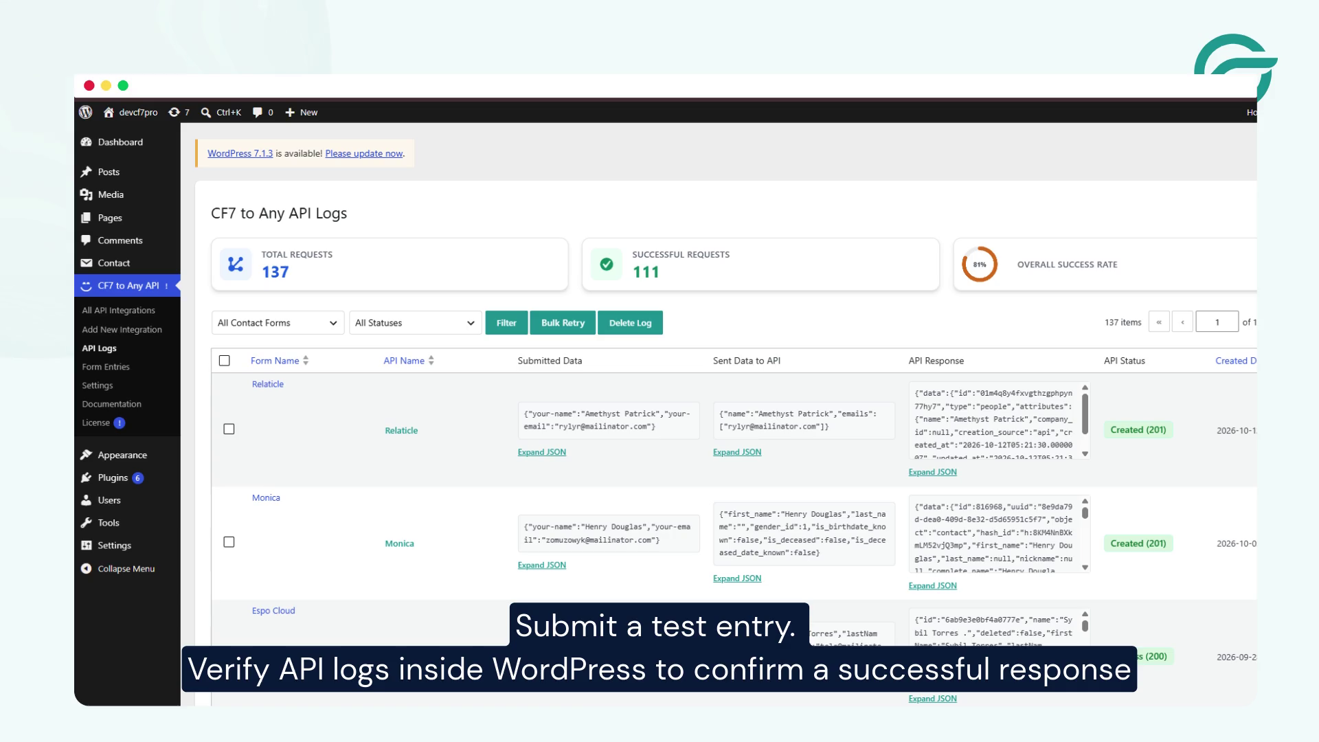 Submit a test entry. Verify API logs inside WordPress to confirm a successful response.